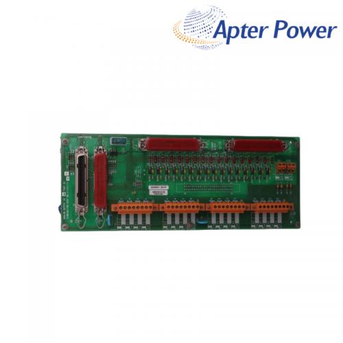 51204172-175  Analog Output Module